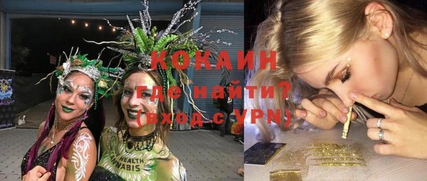 шишки Баксан
