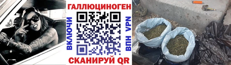 Галлюциногенные грибы мицелий  маркетплейс состав  Новоалександровск 
